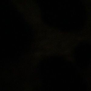 Meet your Posher, Paige